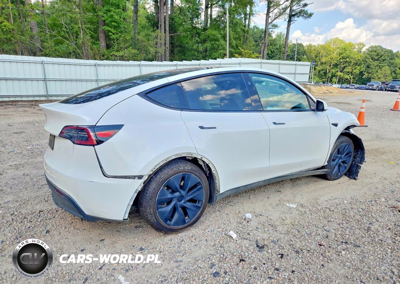 2025 Tesla Model Y VIN:7SAYGDEDXSA346286 - 3