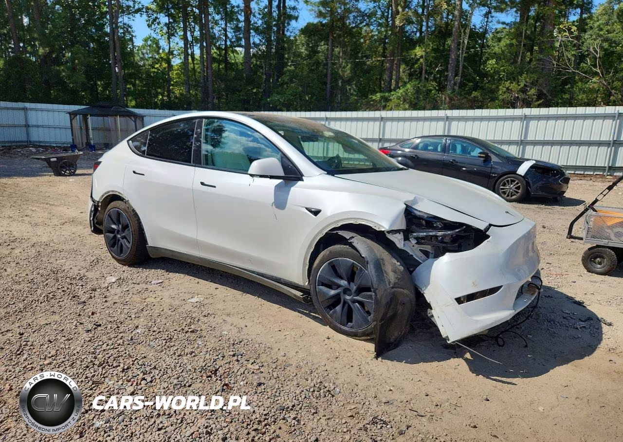 2025 Tesla Model Y VIN:7SAYGDEDXSA346286 - 4