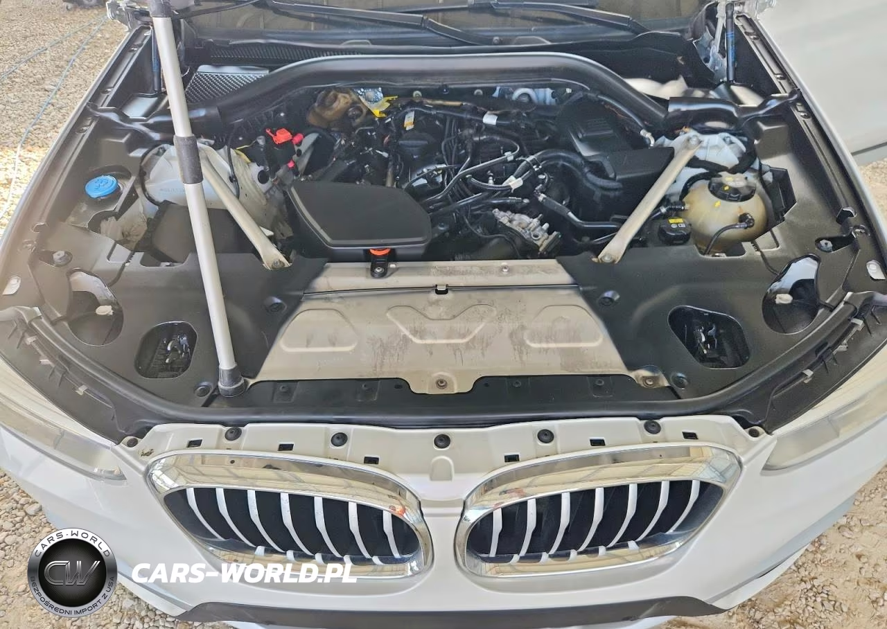 2019 BMW X3 Sdrive30I VIN:5UXTR7C53KLR45012 - 12
