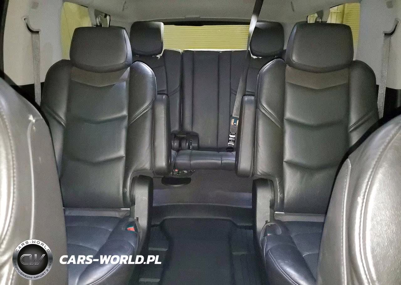 2020 Cadillac Escalade Esv Premium Luxury VIN:1GYS4JKJ9LR207053 - 10
