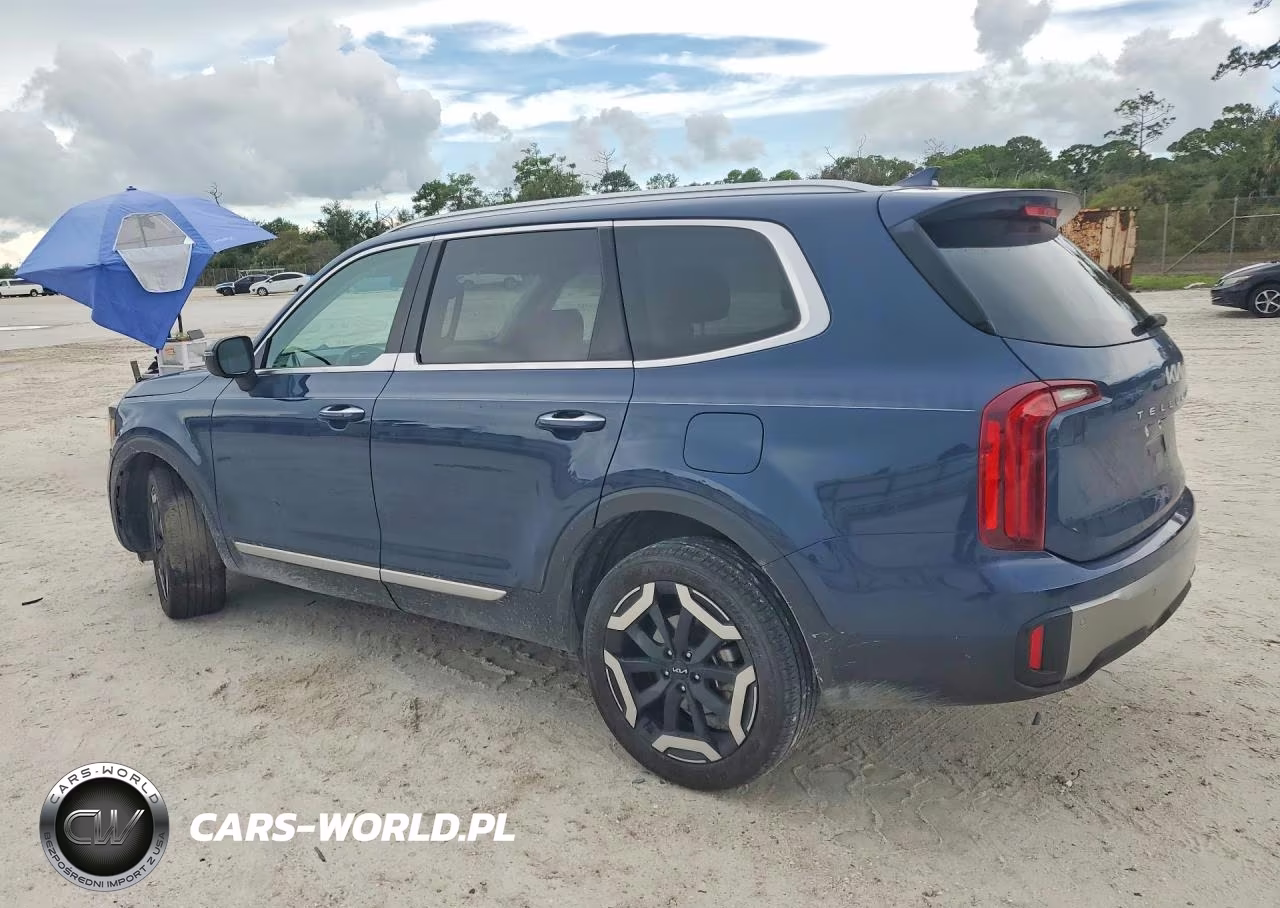 2025 Kia Telluride S VIN:5XYP64GC5SG704440 - 2
