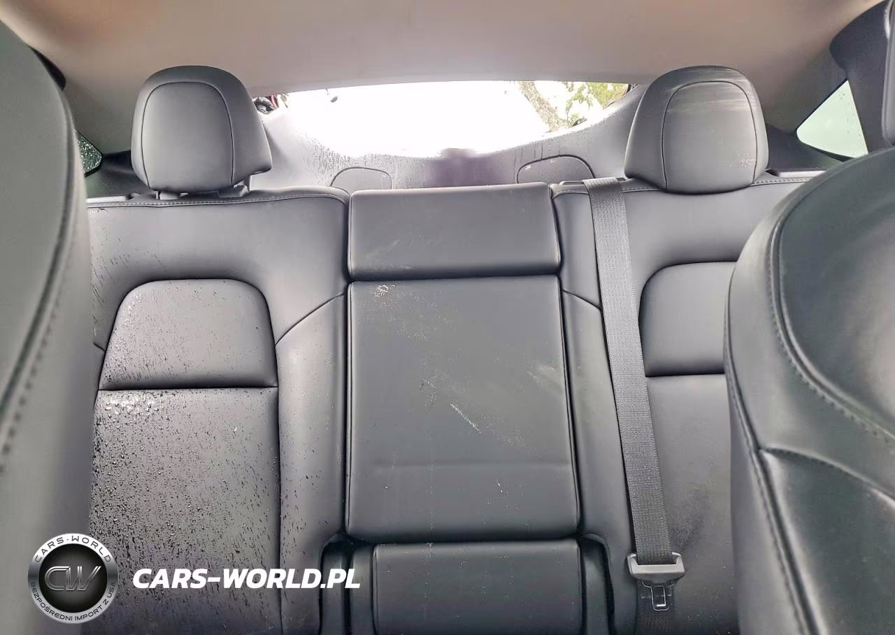 2023 Tesla Model Y VIN:7SAYGDEF5PF879254 - 10