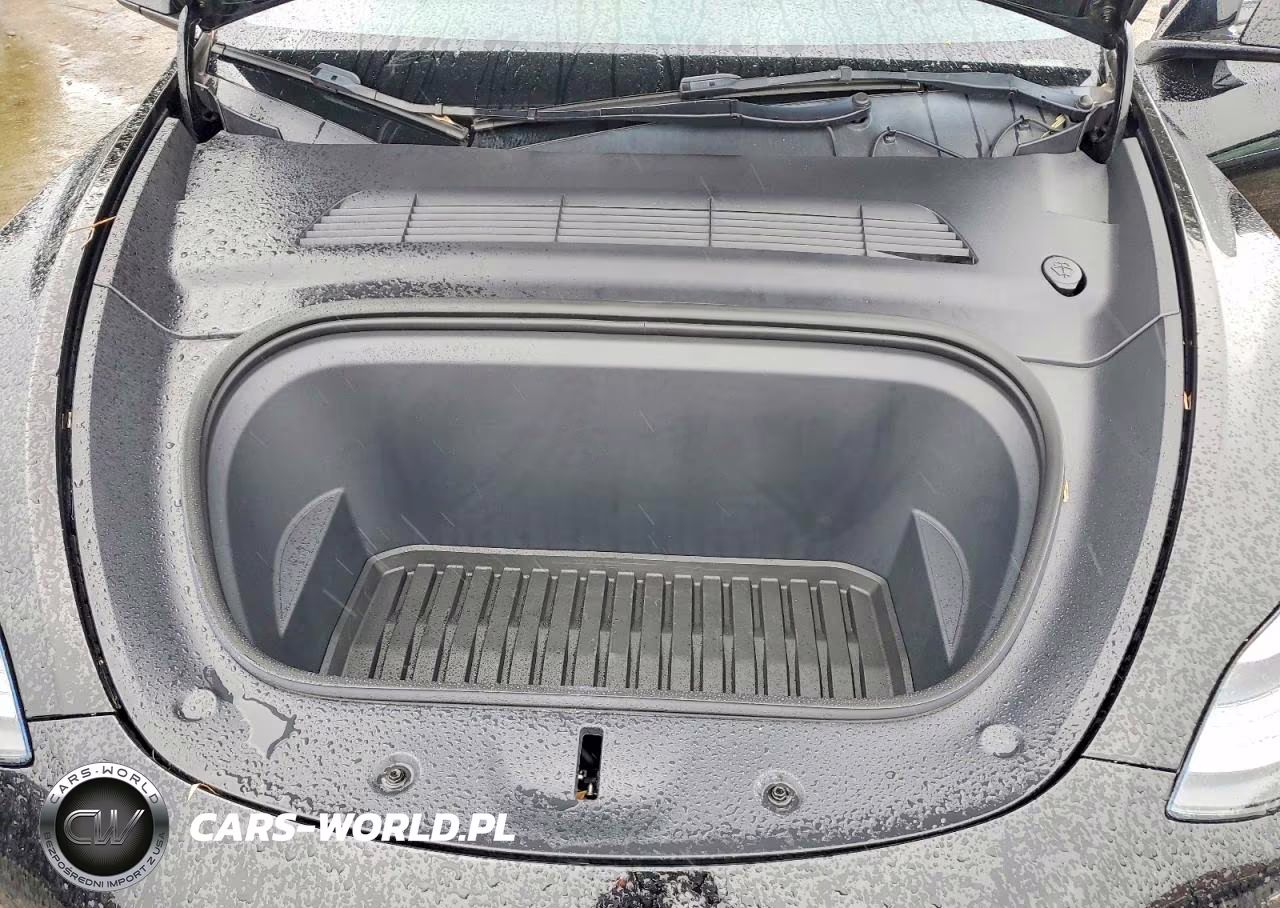 2023 Tesla Model Y VIN:7SAYGDEF5PF879254 - 12