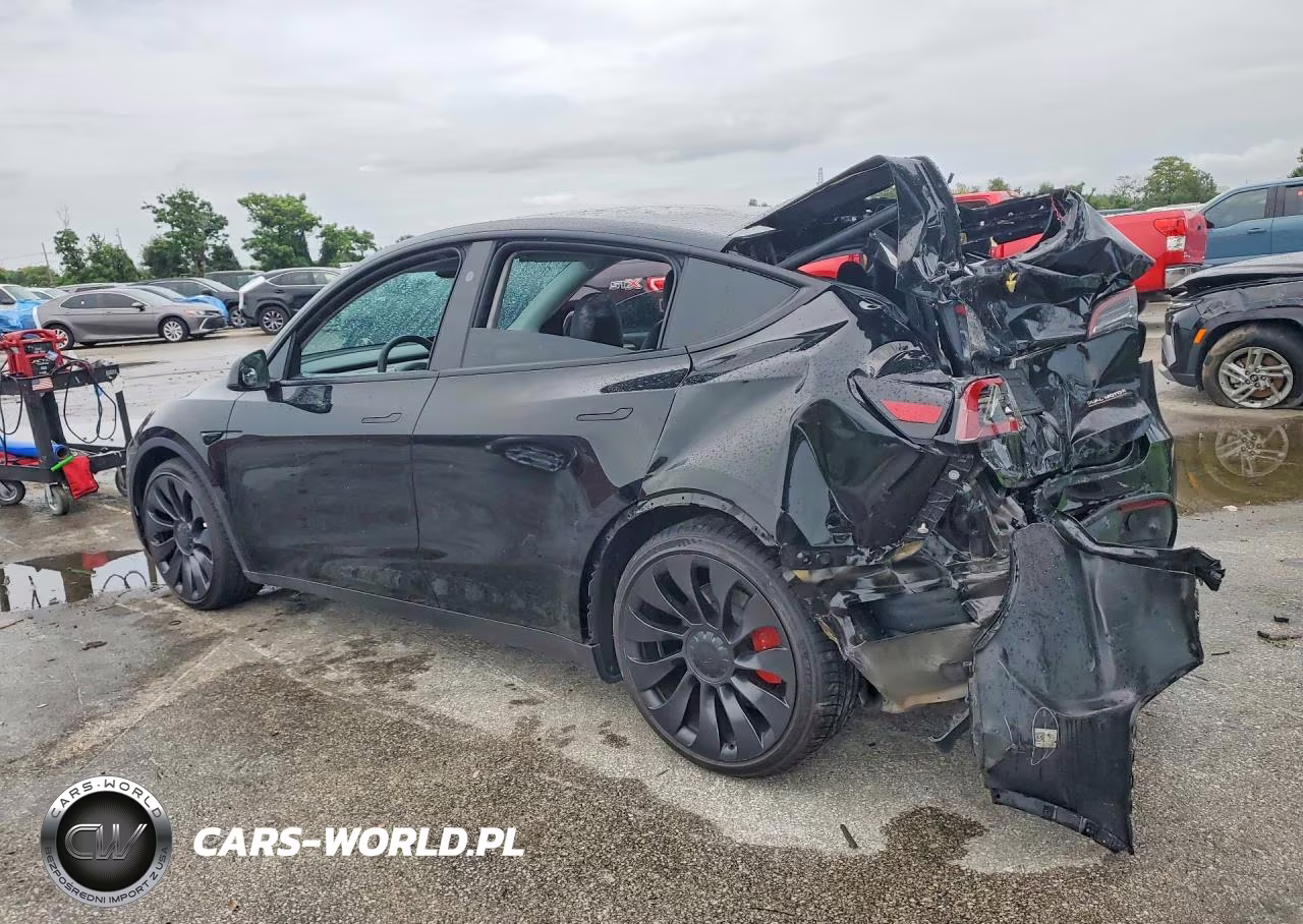 2023 Tesla Model Y VIN:7SAYGDEF5PF879254 - 2