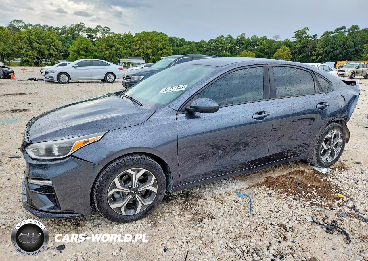 2019 Kia Forte Lxs VIN:3KPF24AD9KE070412 - 1