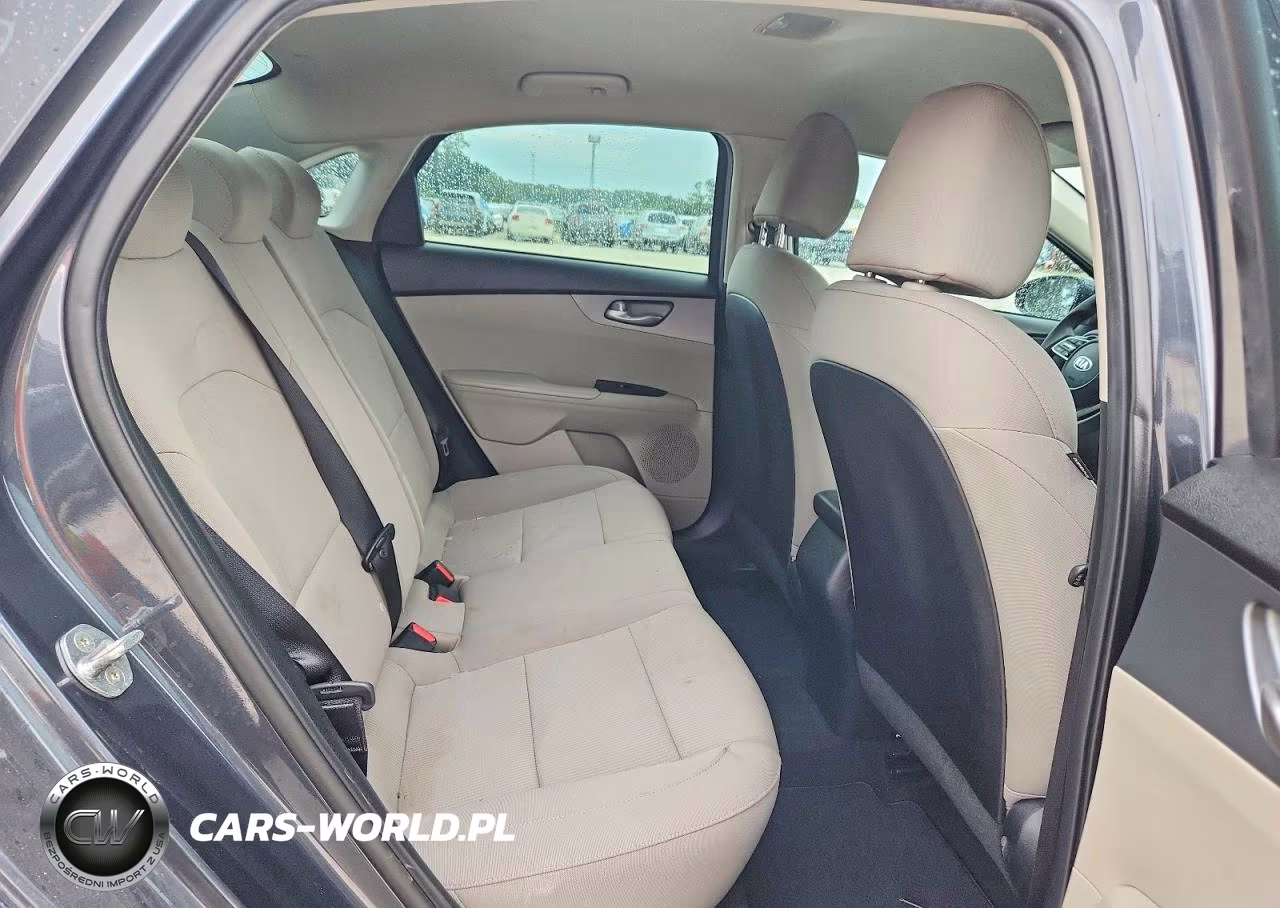 2019 Kia Forte Lxs VIN:3KPF24AD9KE070412 - 10