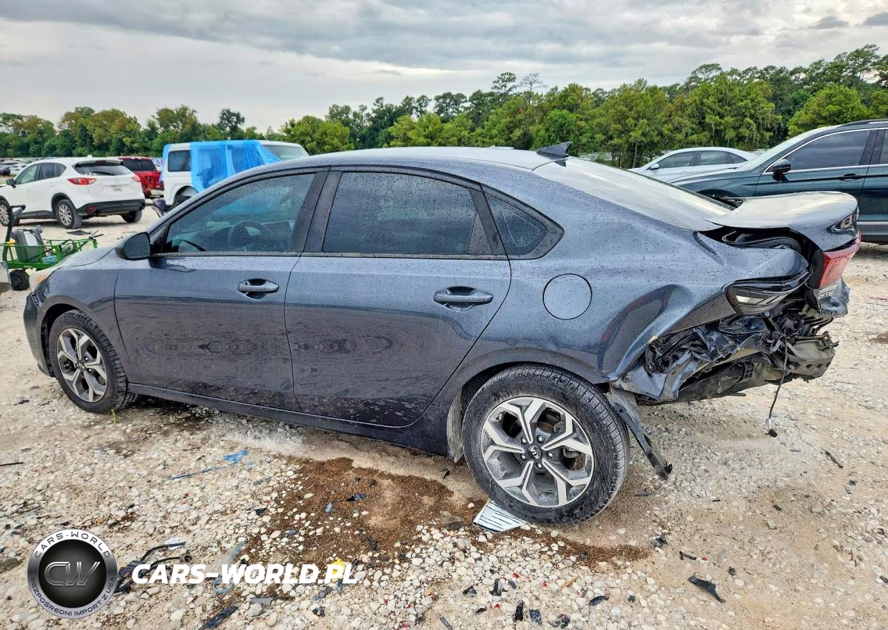 2019 Kia Forte Lxs VIN:3KPF24AD9KE070412 - 2