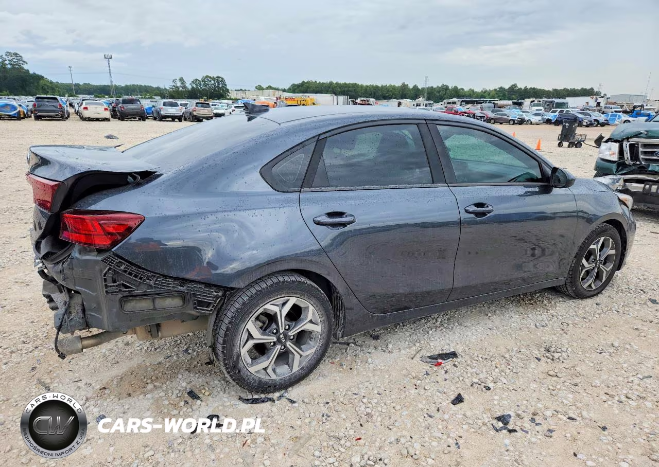 2019 Kia Forte Lxs VIN:3KPF24AD9KE070412 - 3
