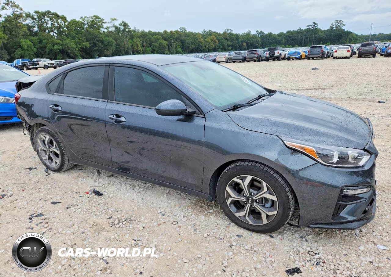 2019 Kia Forte Lxs VIN:3KPF24AD9KE070412 - 4