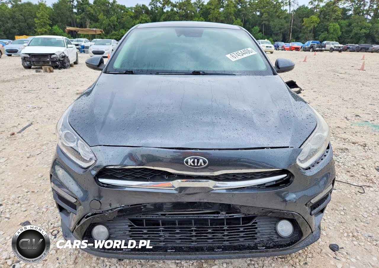 2019 Kia Forte Lxs VIN:3KPF24AD9KE070412 - 5