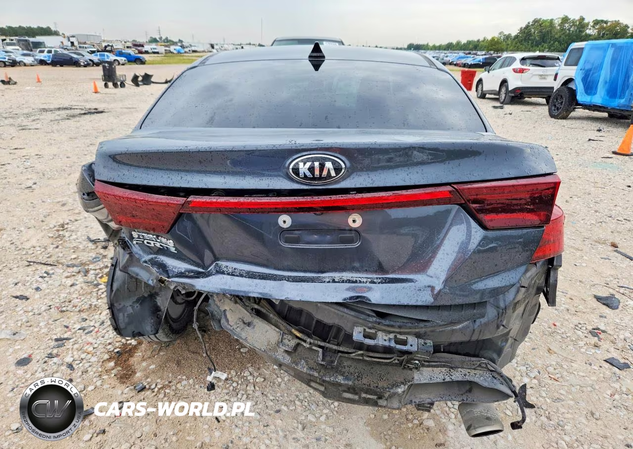 2019 Kia Forte Lxs VIN:3KPF24AD9KE070412 - 6