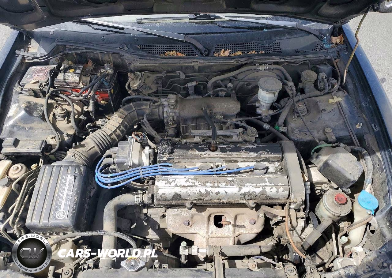 1994 Acura Integra Ls VIN:JH4DC4358RS005650 - 11