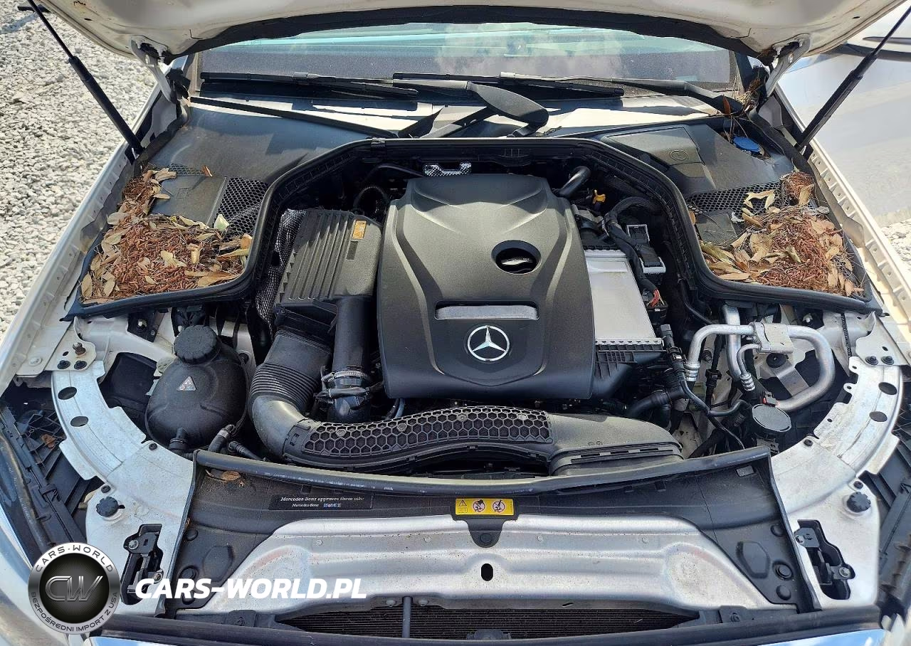2017 Mercedes-Benz C 300 VIN:55SWF4JB7HU214365 - 11