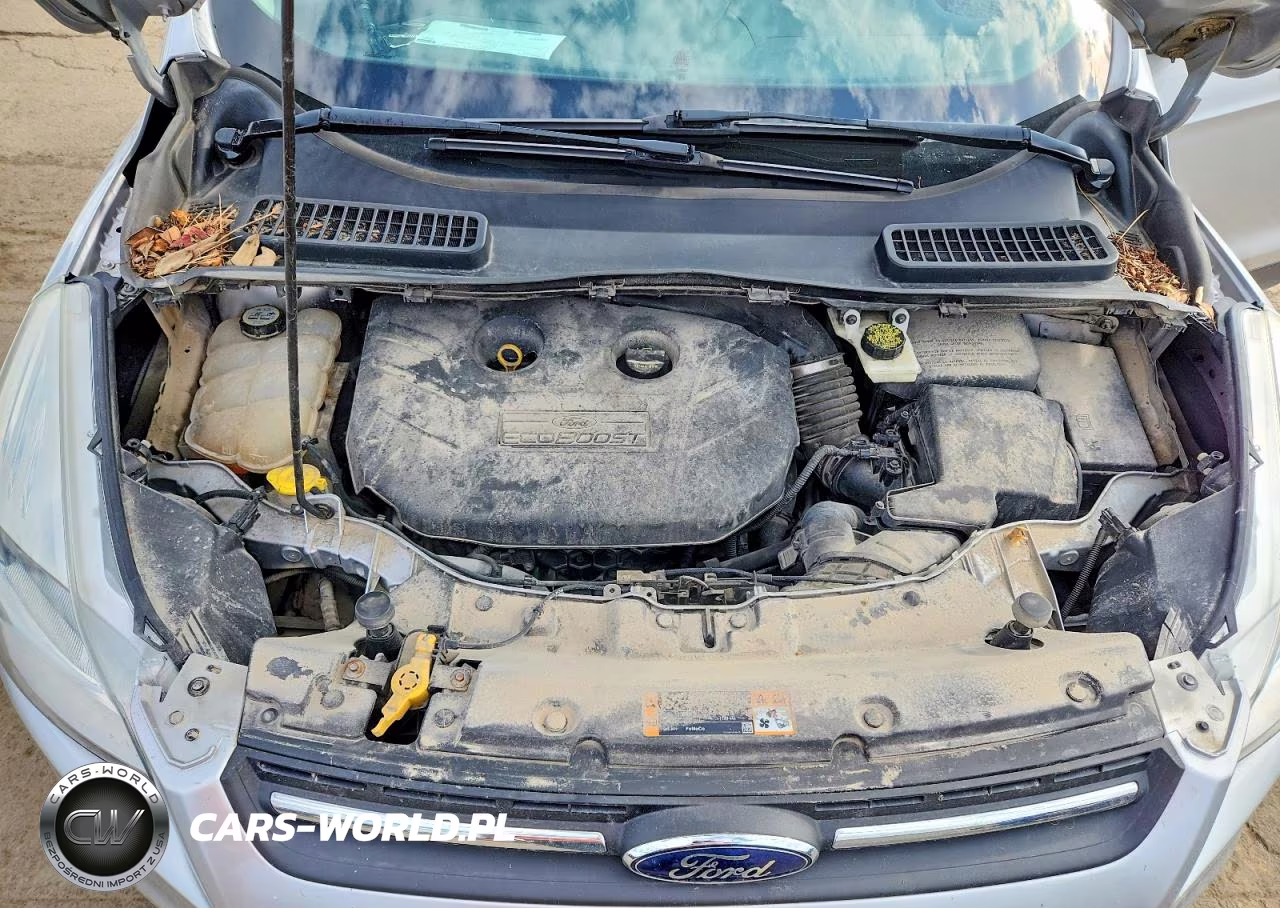 2013 Ford Escape Se VIN:1FMCU0G98DUC21832 - 12