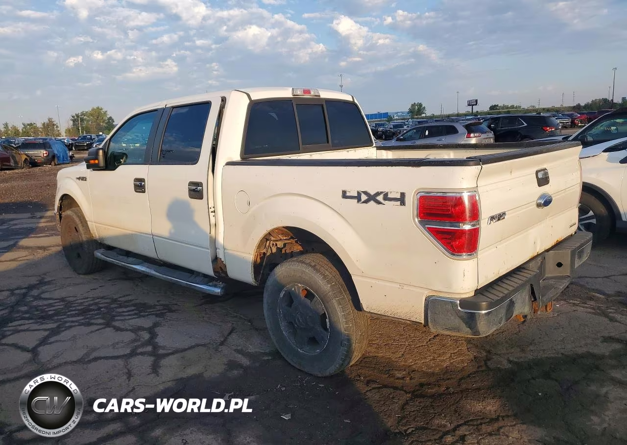 2013 Ford F150 Supercrew VIN:1FTFW1EF6DFA43885 - 2