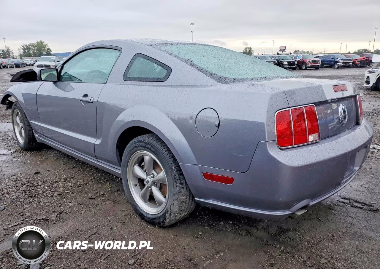 2006 Ford Mustang Gt VIN:1ZVFT82HX65143100 - 2