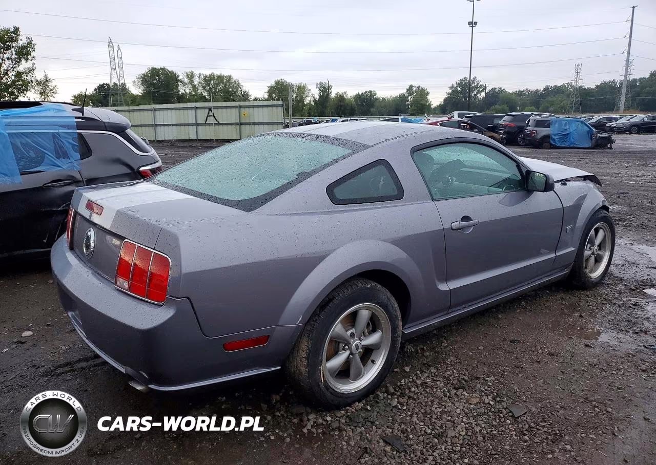 2006 Ford Mustang Gt VIN:1ZVFT82HX65143100 - 3