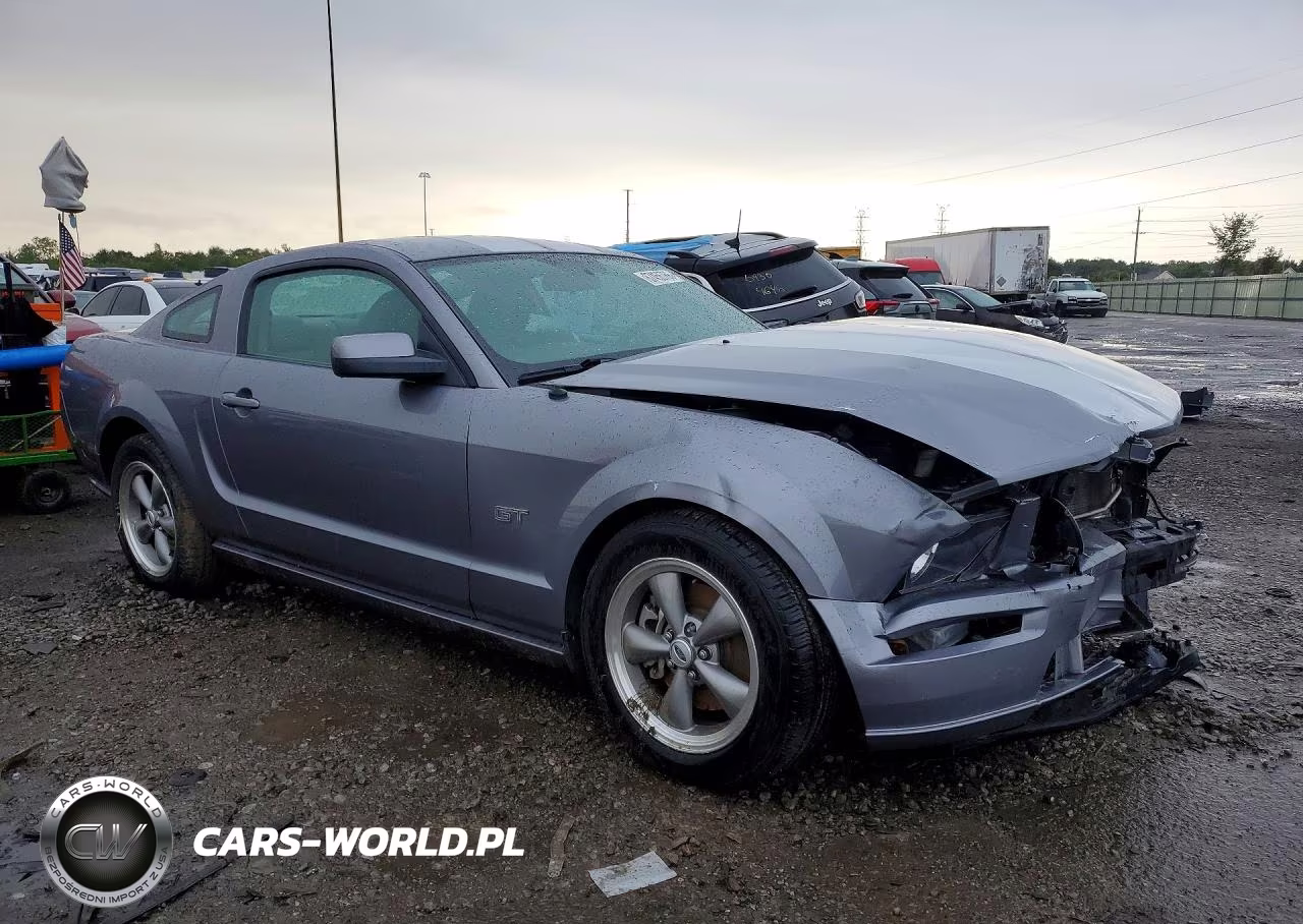 2006 Ford Mustang Gt VIN:1ZVFT82HX65143100 - 4