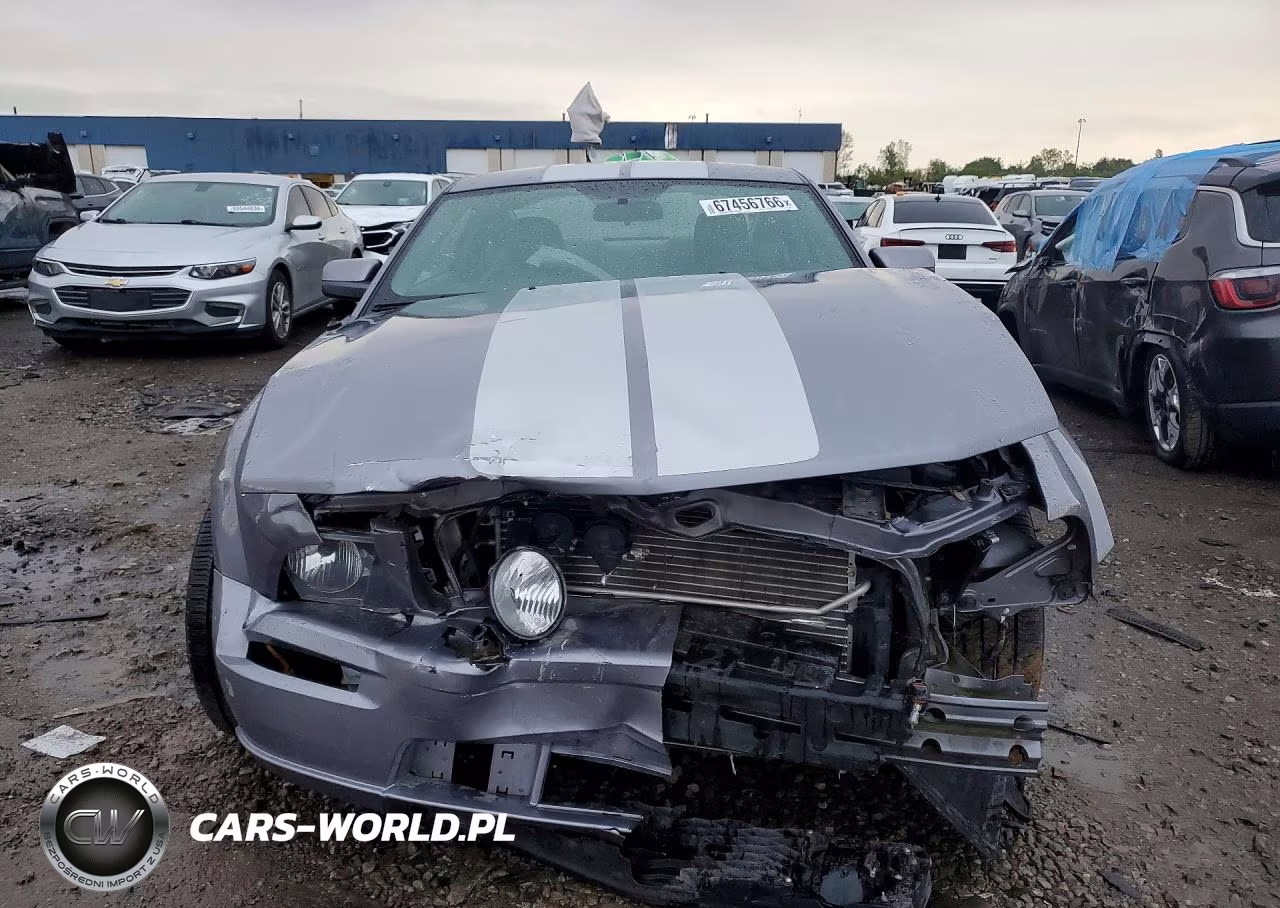 2006 Ford Mustang Gt VIN:1ZVFT82HX65143100 - 5