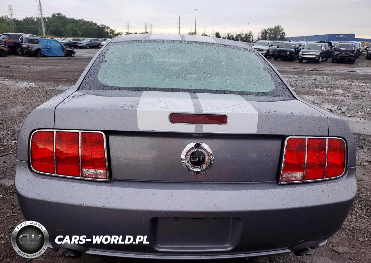 2006 Ford Mustang Gt VIN:1ZVFT82HX65143100 - 6