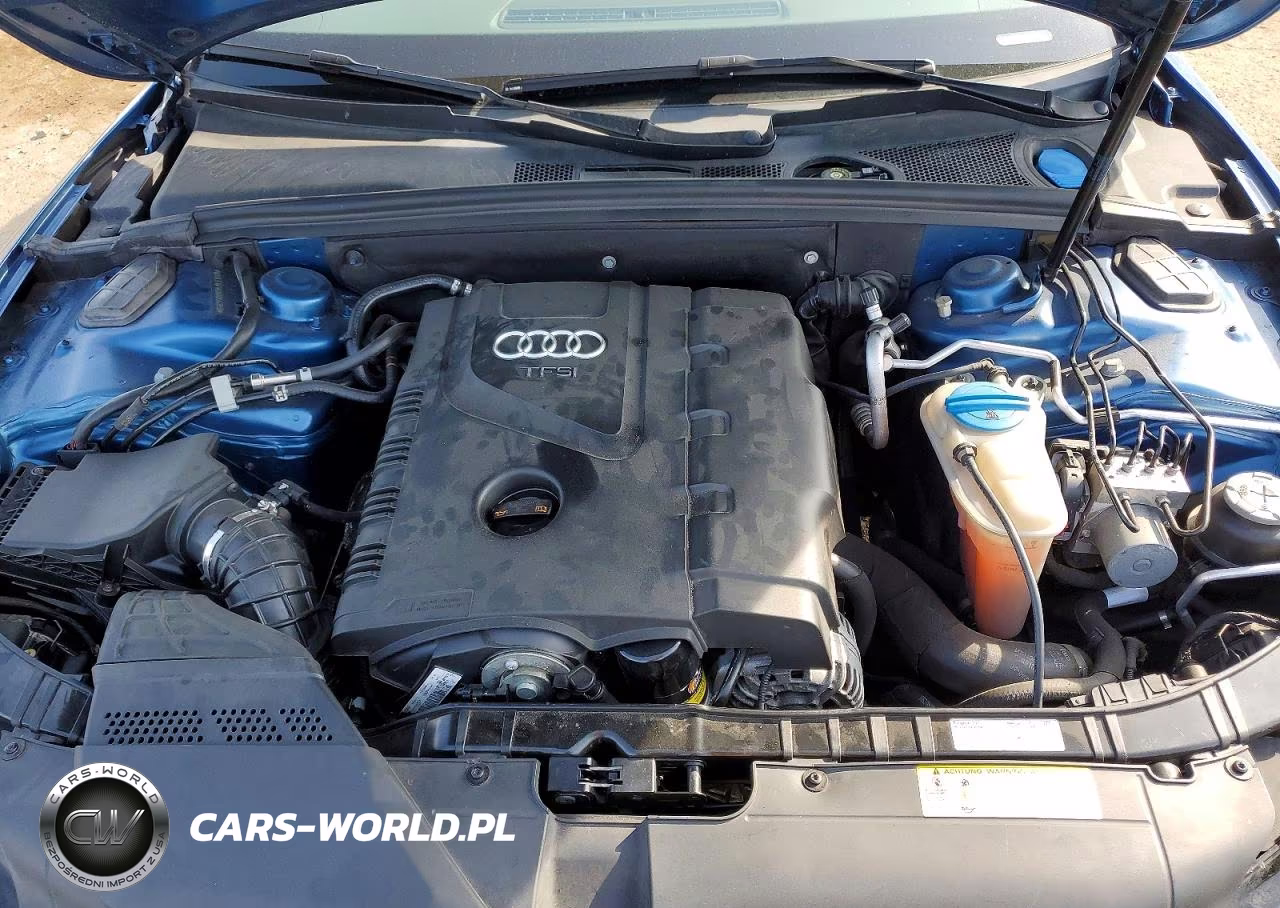 2010 Audi A5 Premium Plus VIN:WAULFAFR0AA064359 - 11