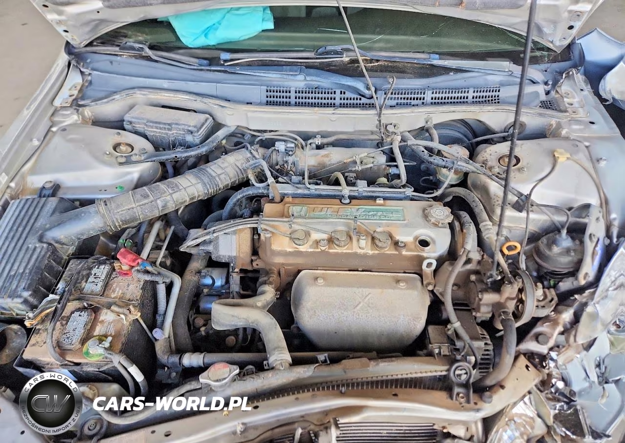 1999 Honda Accord Lx VIN:JHMCG6651XC012731 - 11