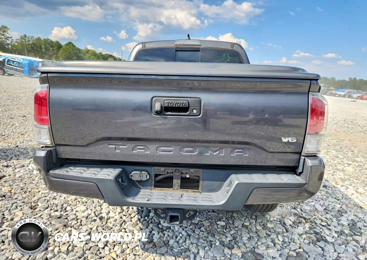 2020 Toyota Tacoma Trd Sport VIN:3TMCZ5AN3LM351982 - 6