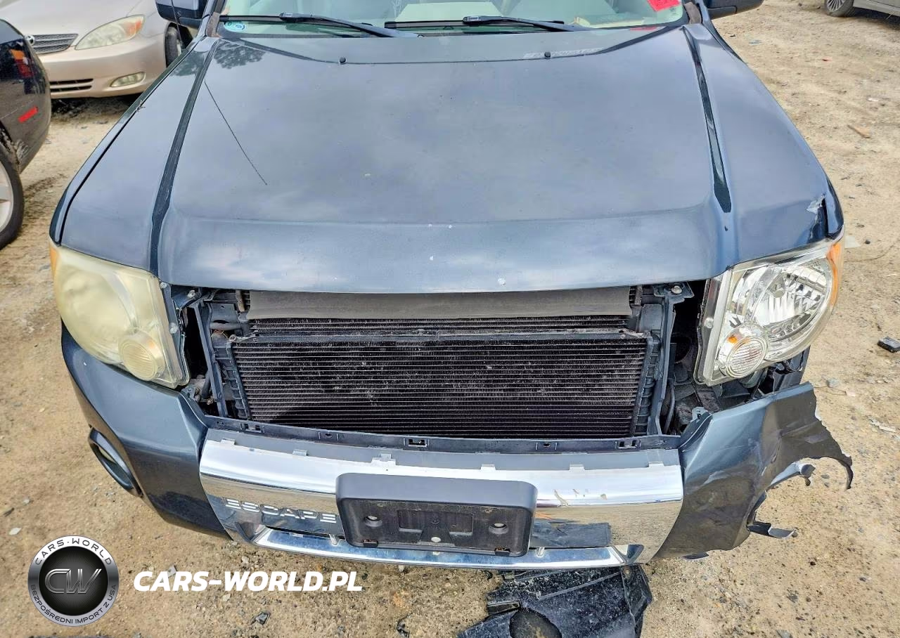 2009 Ford Escape Hybrid VIN:1FMCU49379KA78813 - 12