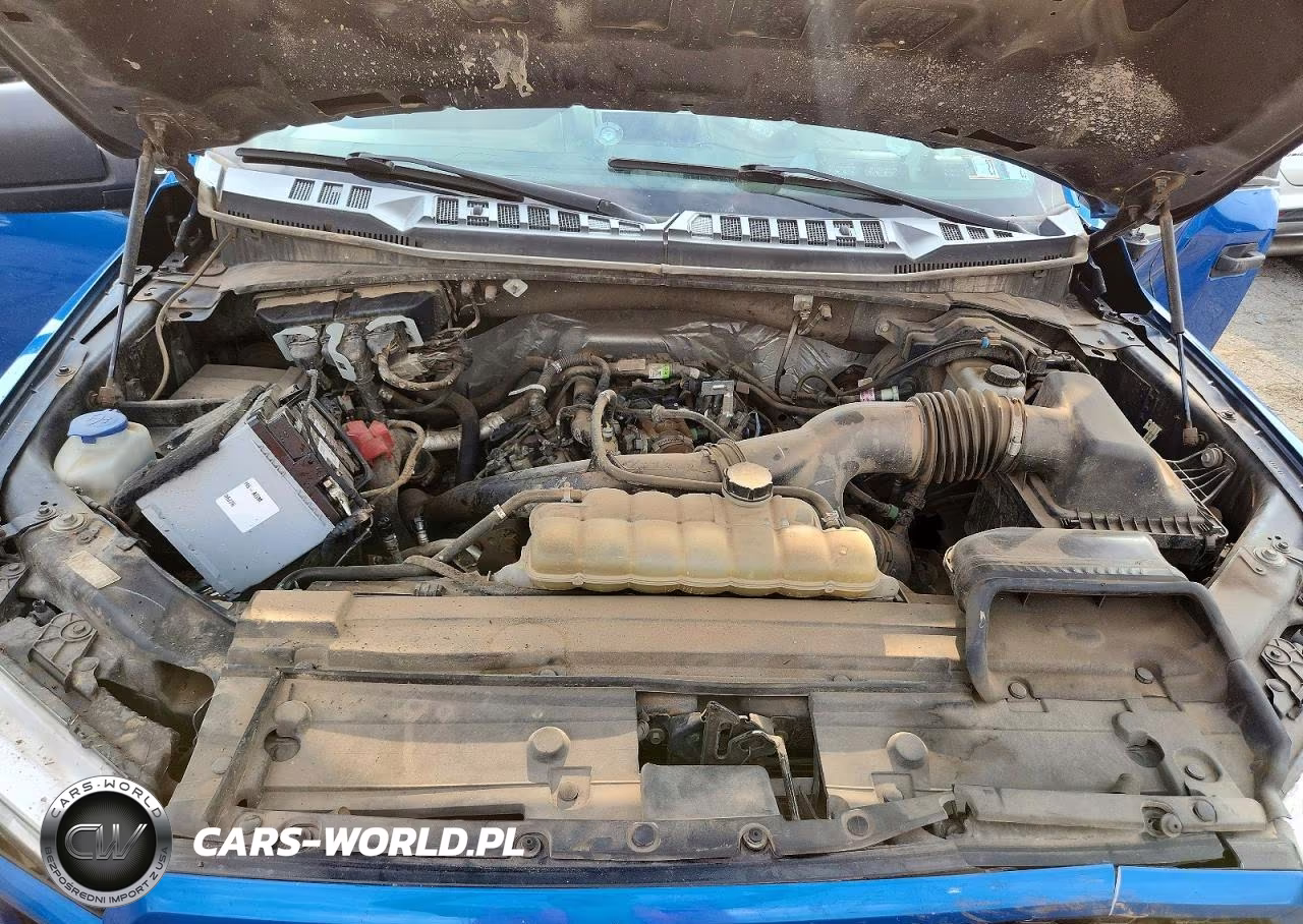 2020 Ford F150 Supercrew VIN:1FTEW1EP5LFB97099 - 11