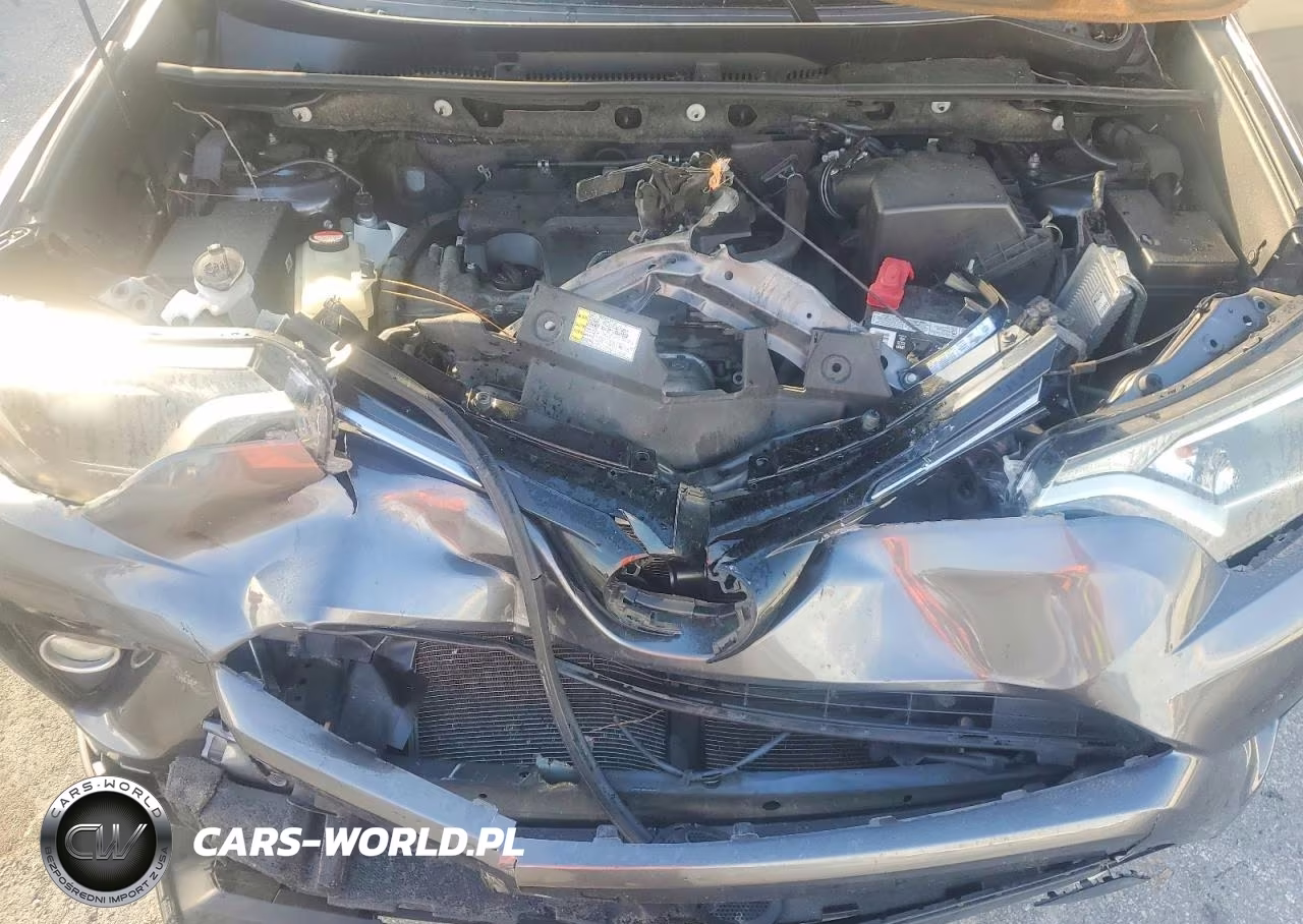 2016 Toyota Rav4 Xle VIN:JTMWFREV7GJ091449 - 12