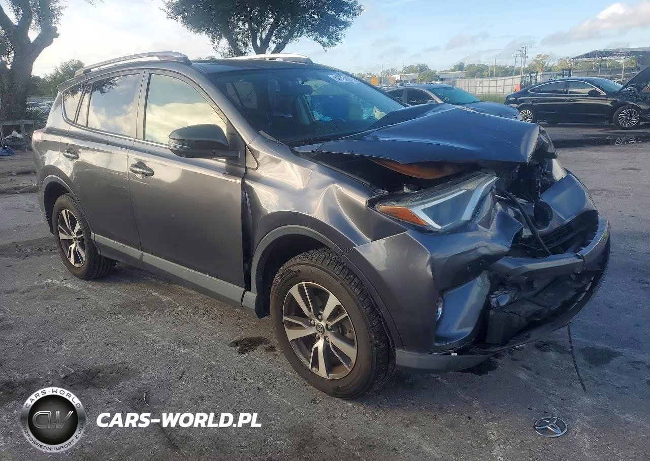 2016 Toyota Rav4 Xle VIN:JTMWFREV7GJ091449 - 4