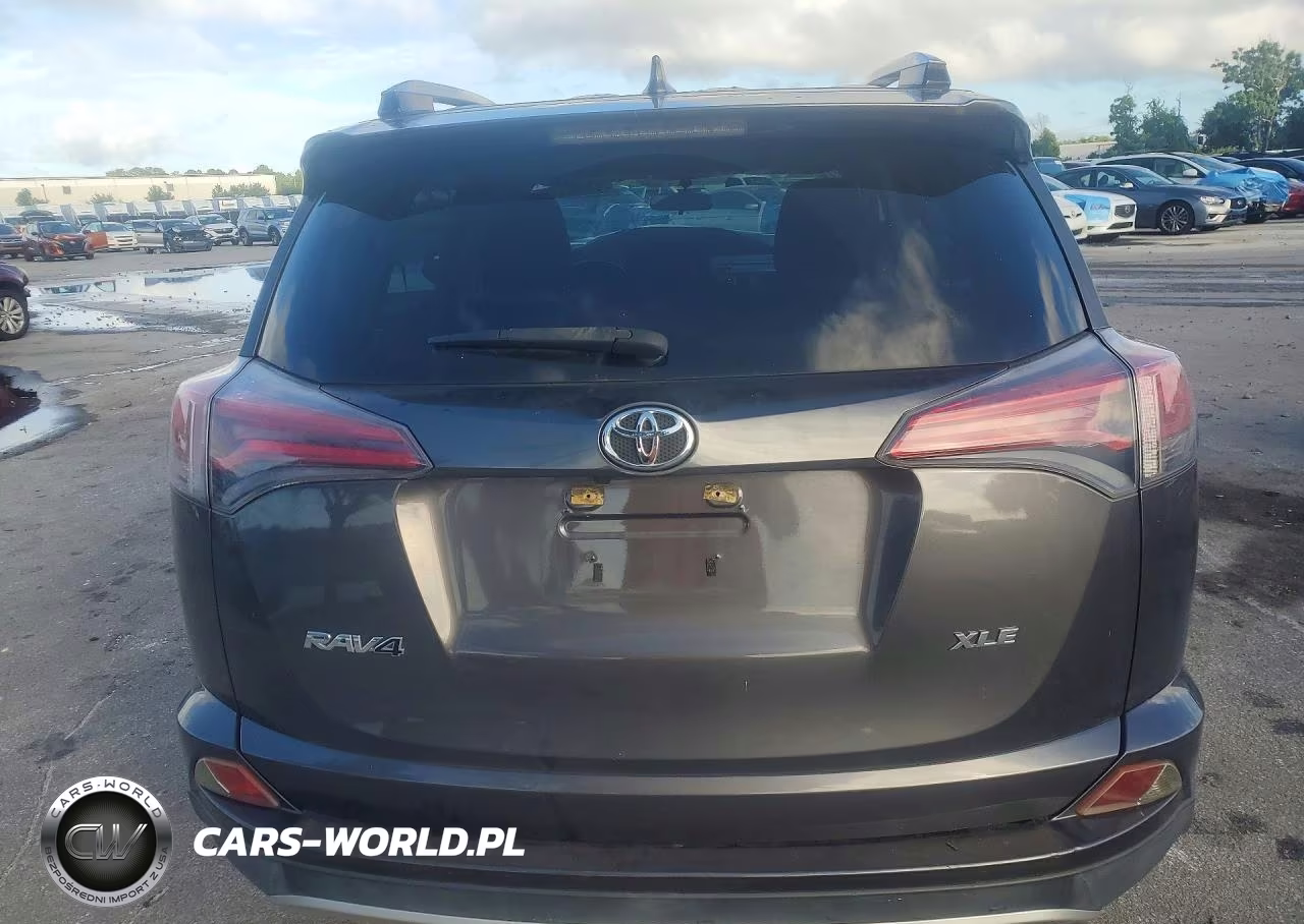 2016 Toyota Rav4 Xle VIN:JTMWFREV7GJ091449 - 6