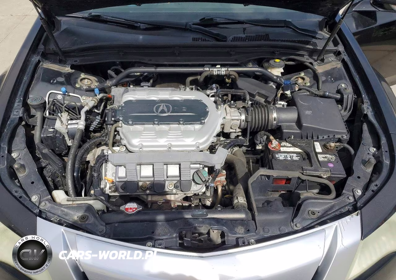 2011 Acura Tl VIN:19UUA8F22BA003051 - 11