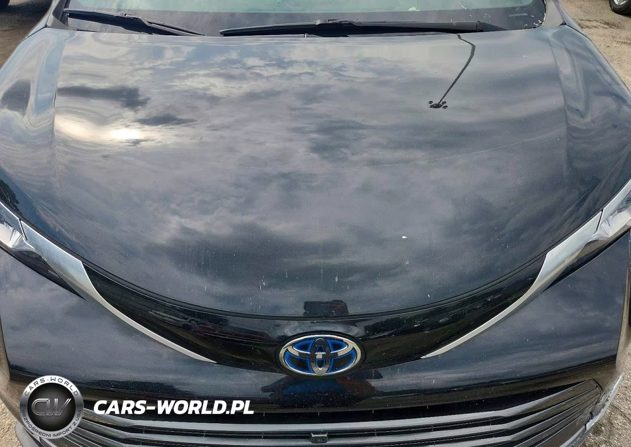 2022 Toyota Sienna Platinum 7-Passenger VIN:5TDESKFC2NS067507 - 12