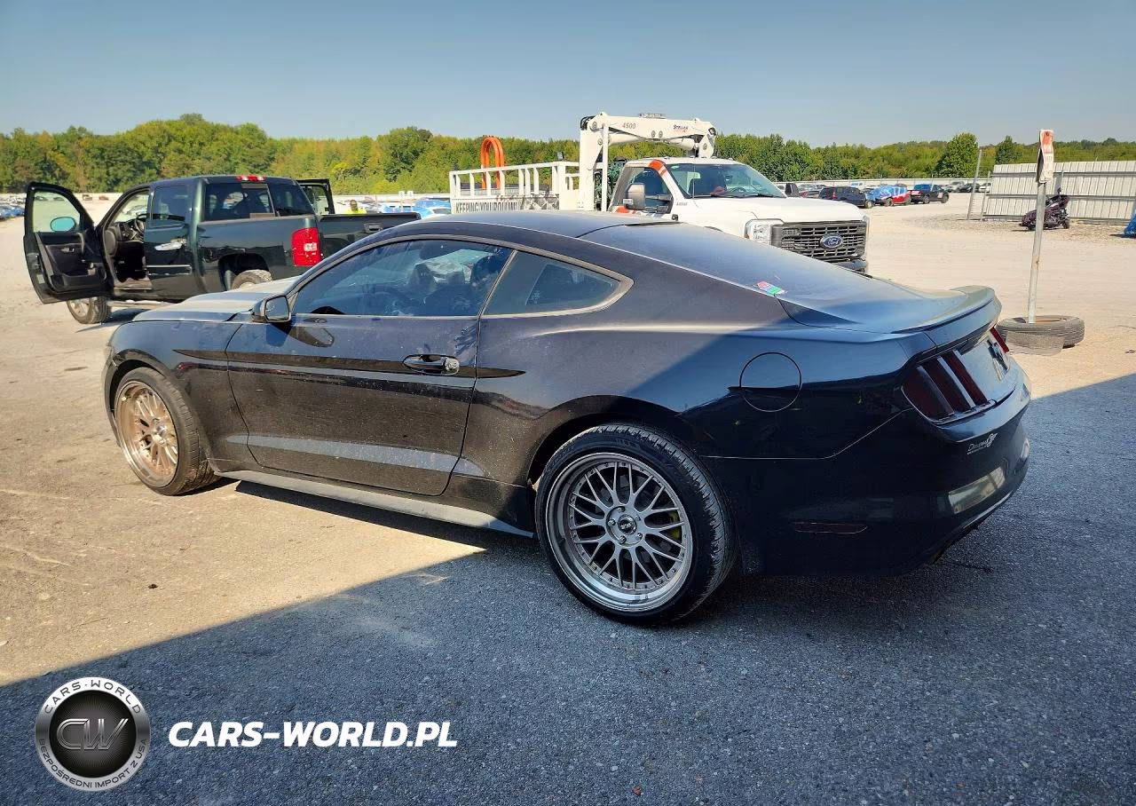 2016 Ford Mustang VIN:1FA6P8AM3G5296088 - 2