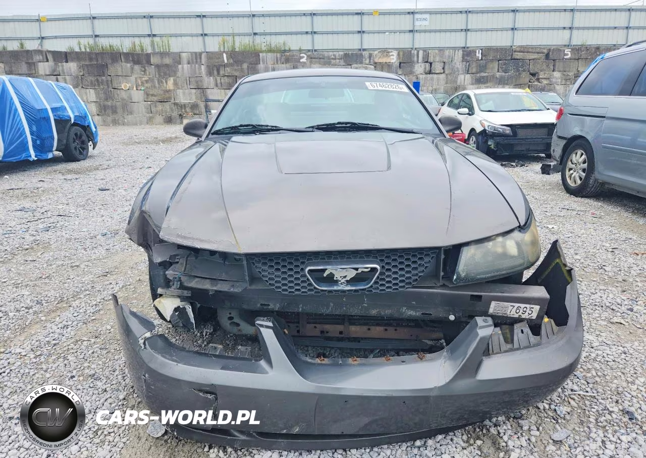 2004 Ford Mustang VIN:1FAFP40424F109536 - 5