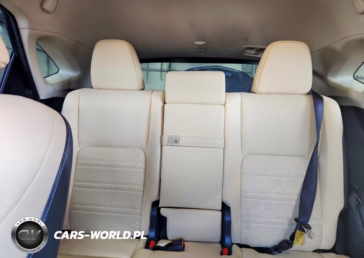 2018 Lexus Nx 300 Base VIN:JTJBARBZ1J2153348 - 10
