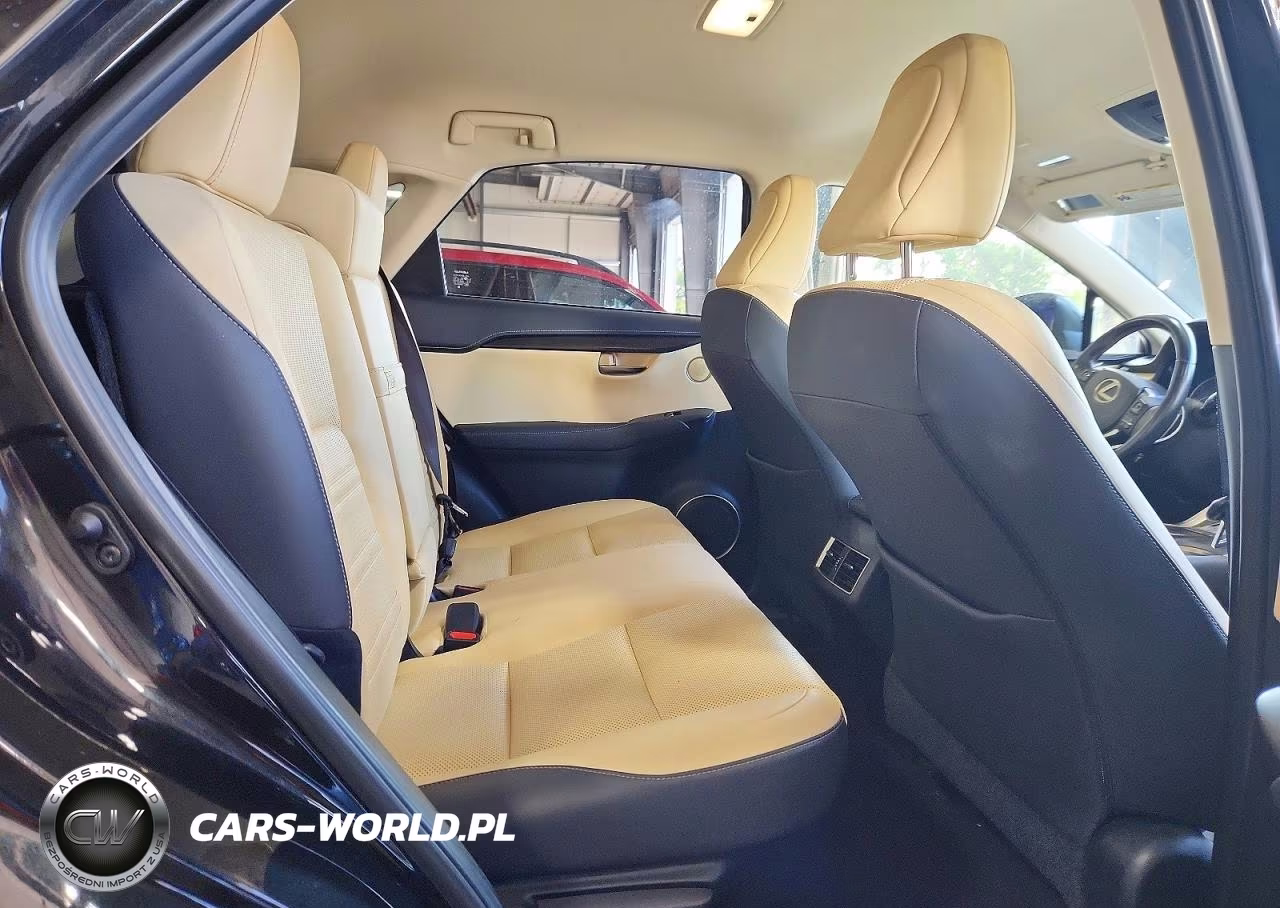 2018 Lexus Nx 300 Base VIN:JTJBARBZ1J2153348 - 11