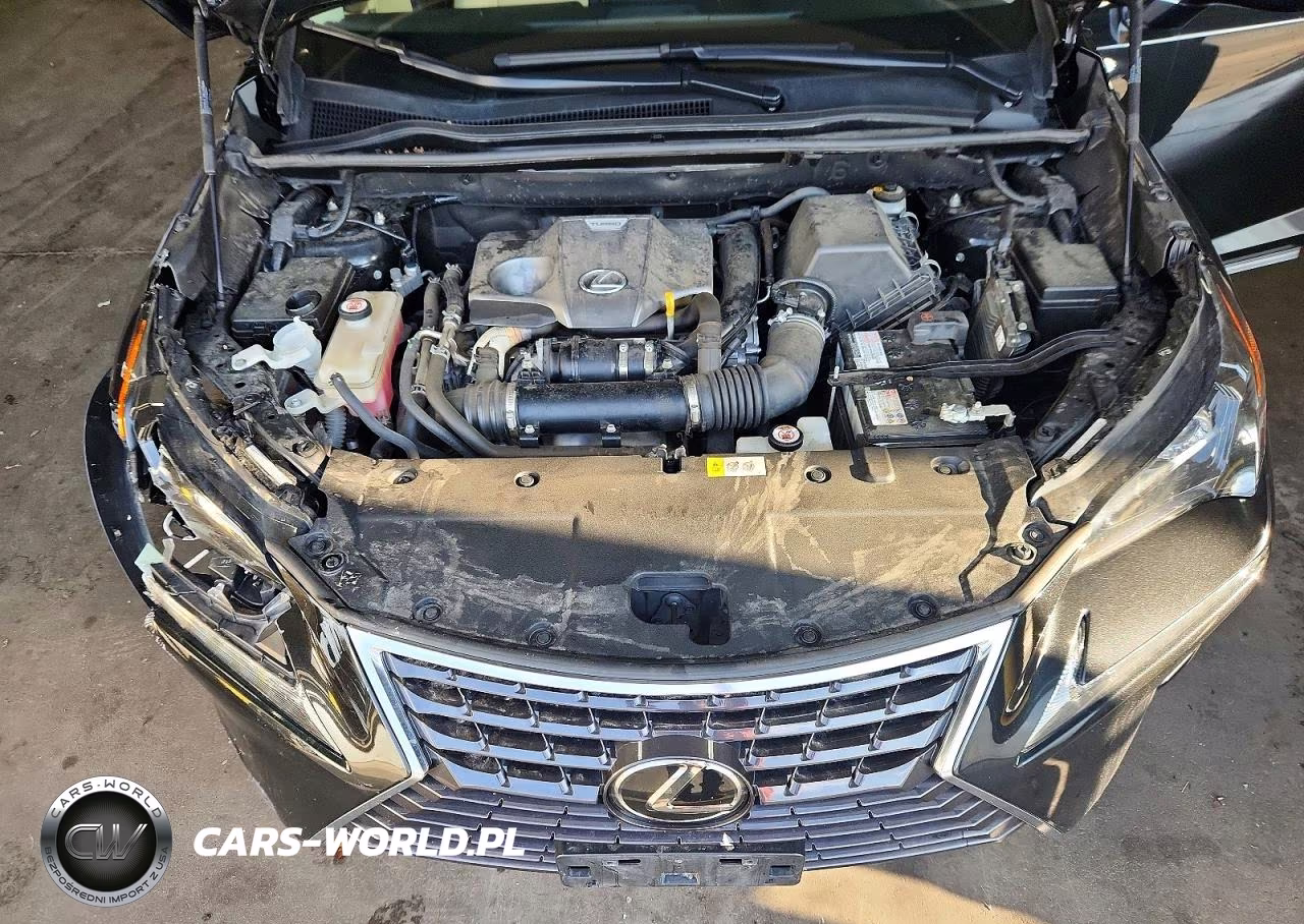 2018 Lexus Nx 300 Base VIN:JTJBARBZ1J2153348 - 12