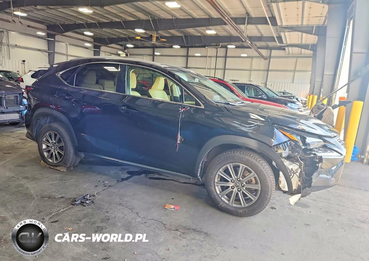 2018 Lexus Nx 300 Base VIN:JTJBARBZ1J2153348 - 4