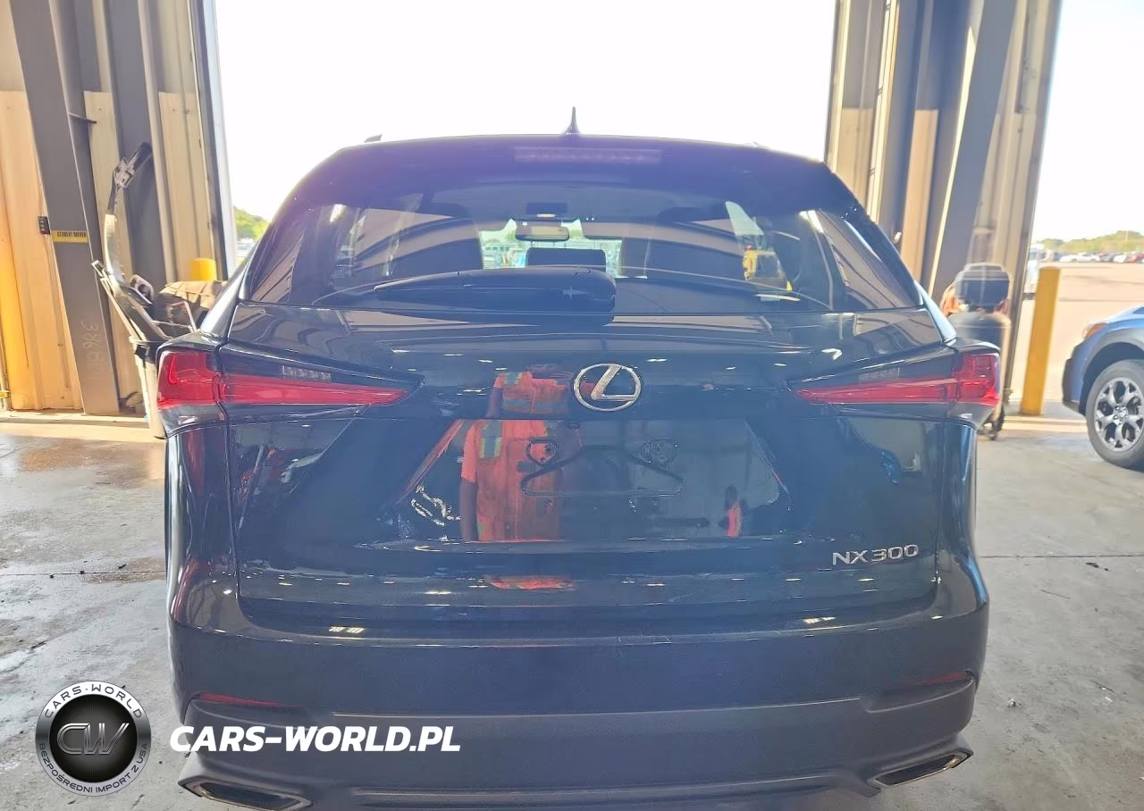 2018 Lexus Nx 300 Base VIN:JTJBARBZ1J2153348 - 6