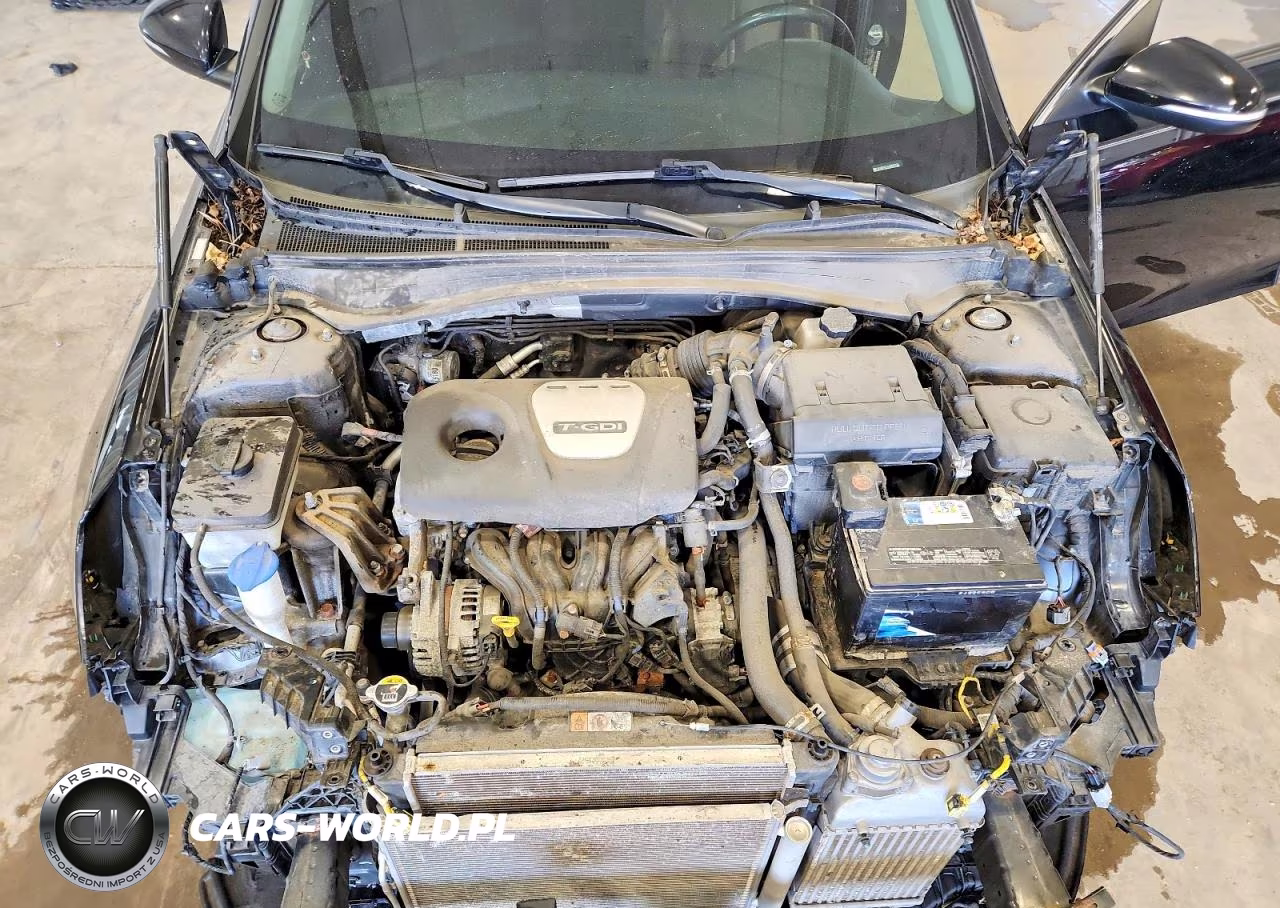 2020 Kia Optima Ex VIN:5XXGU4L14LG427022 - 11