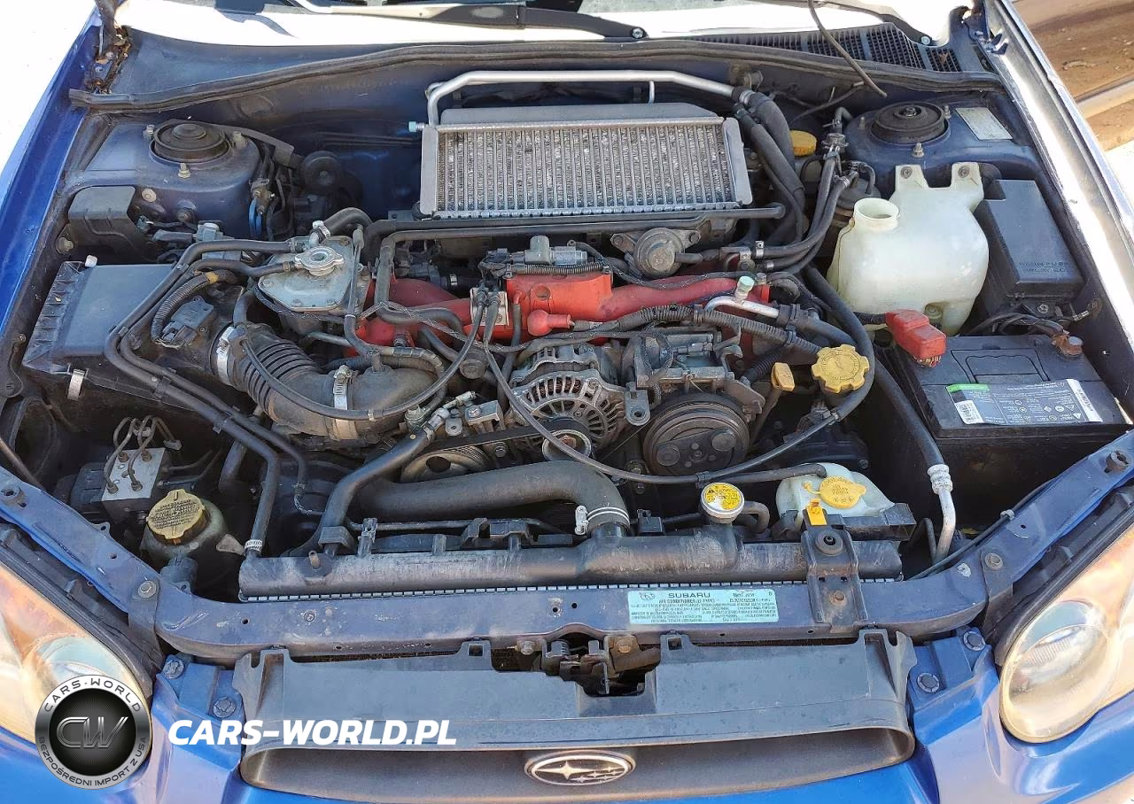 2004 Subaru Impreza Wrx VIN:JF1GG29634G814188 - 11