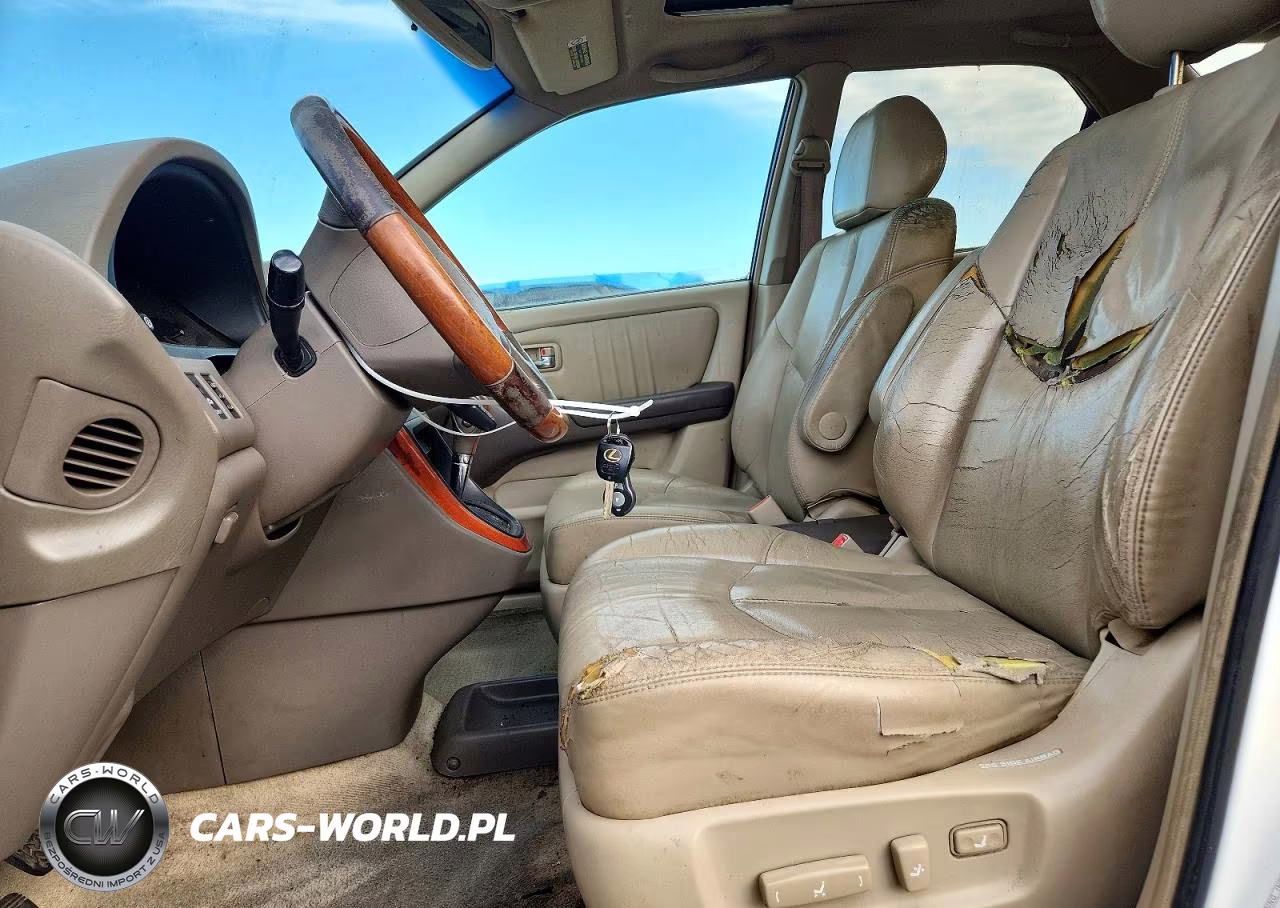 2001 Lexus Rx 300 VIN:JTJGF10U710110032 - 7