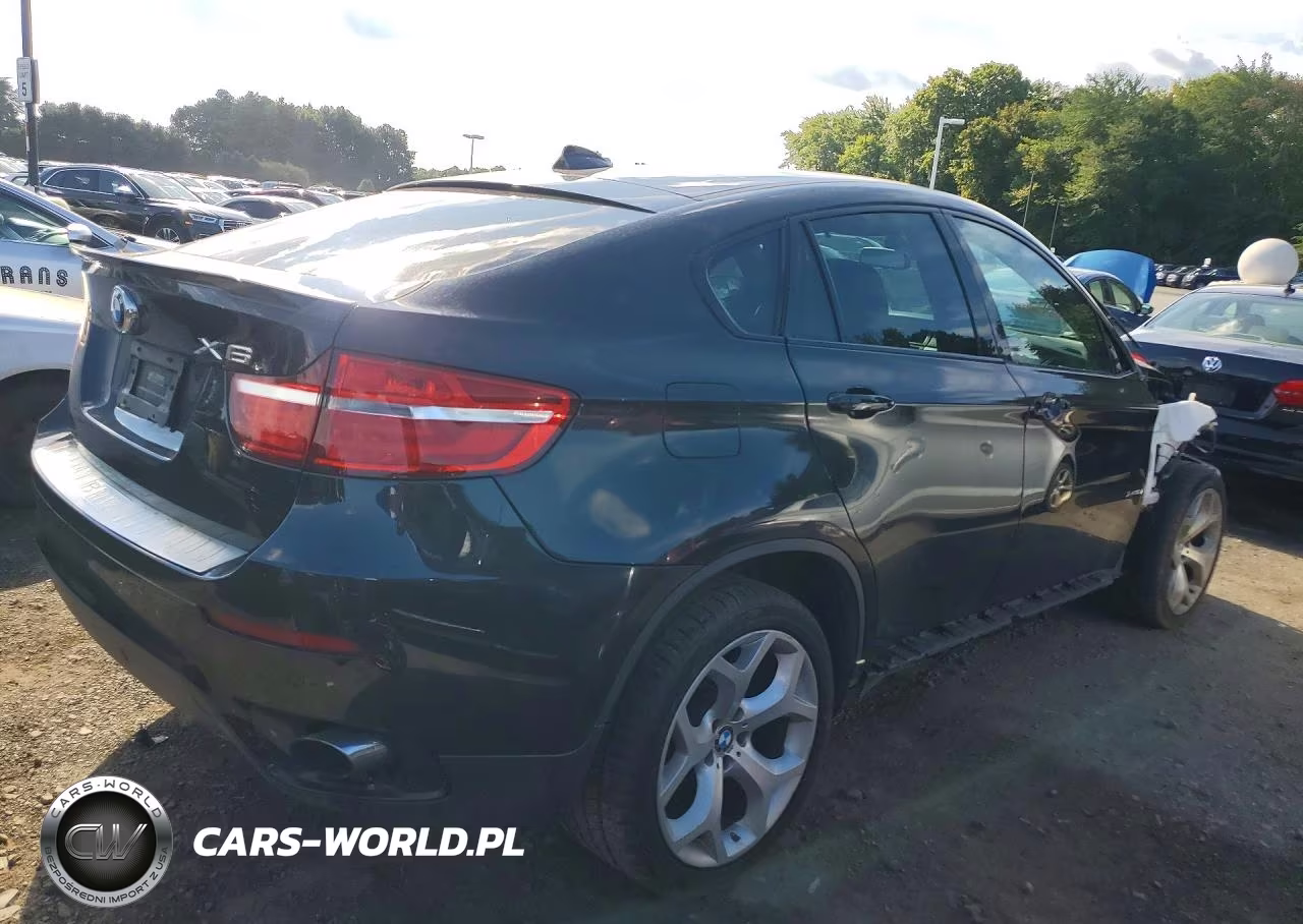 2014 BMW X6 xDrive35I VIN:5UXFG2C53E0K41209 - 3