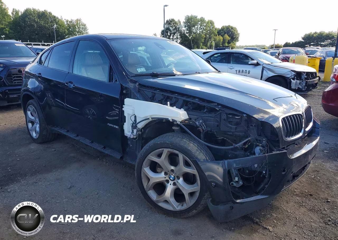 2014 BMW X6 xDrive35I VIN:5UXFG2C53E0K41209 - 4