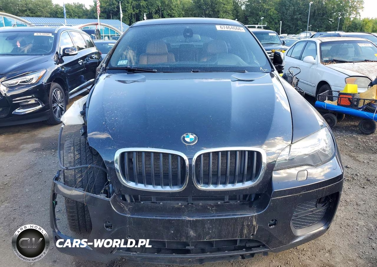 2014 BMW X6 xDrive35I VIN:5UXFG2C53E0K41209 - 5