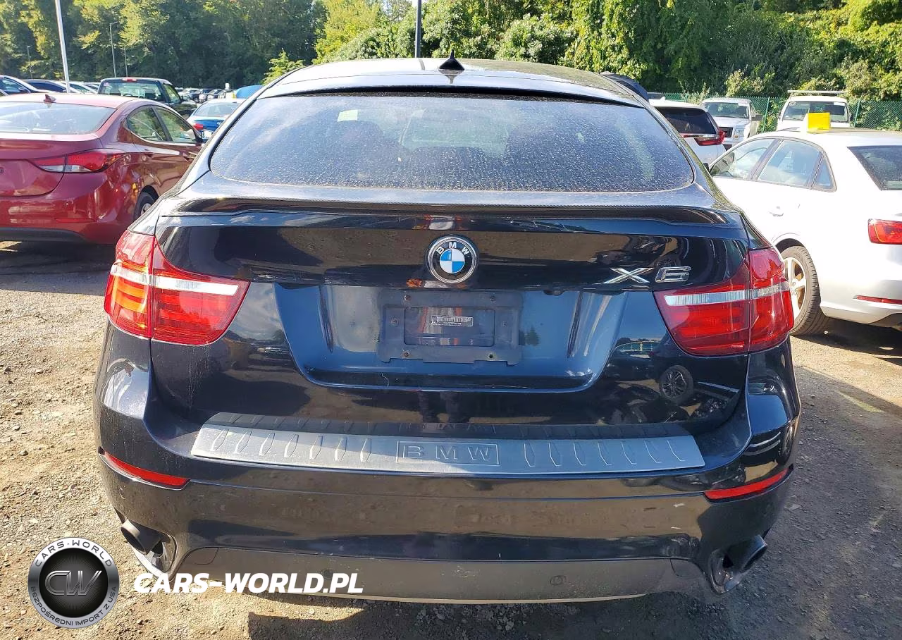 2014 BMW X6 xDrive35I VIN:5UXFG2C53E0K41209 - 6