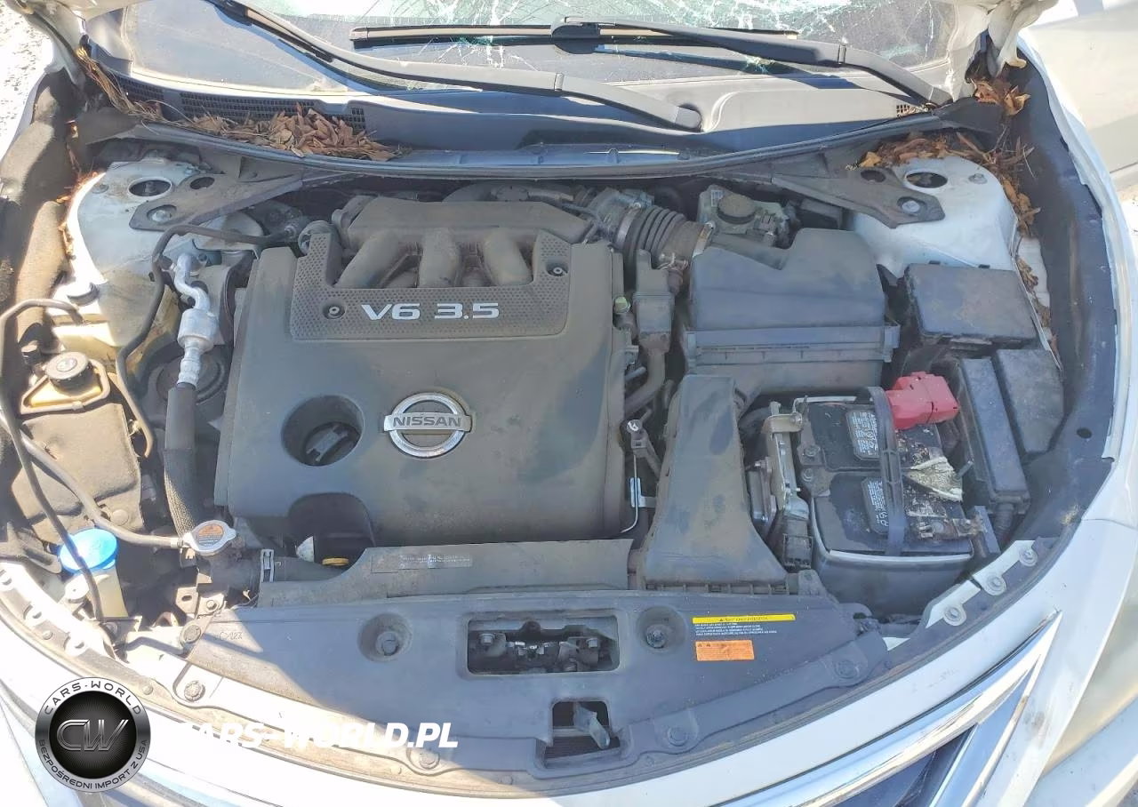 2014 Nissan Altima 3.5 Sl VIN:1N4BL3APXEC320547 - 11