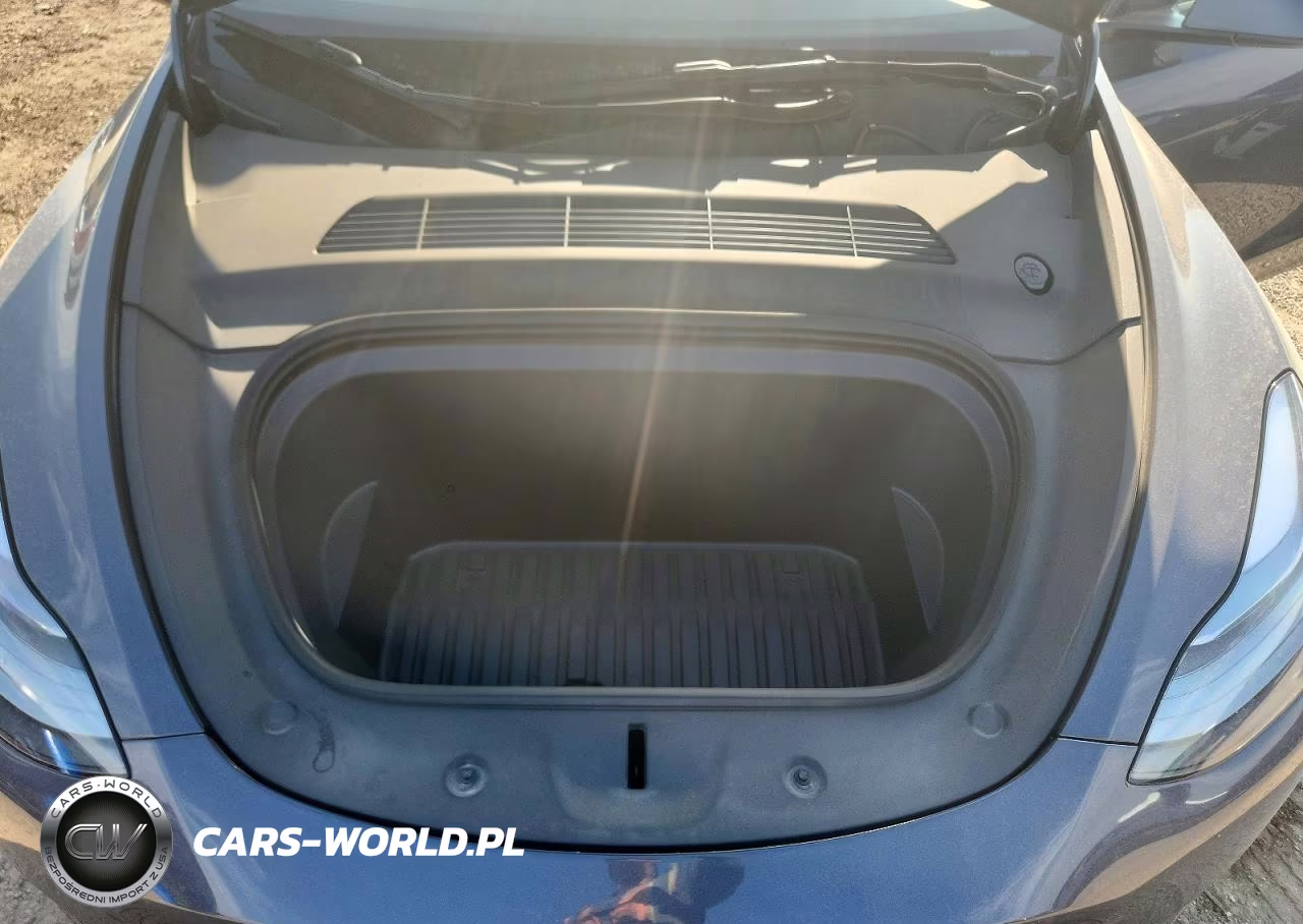 2023 Tesla Model Y VIN:7SAYGDEE6PA200791 - 11